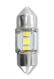 T10x31mm