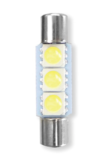 T6.3x31mm